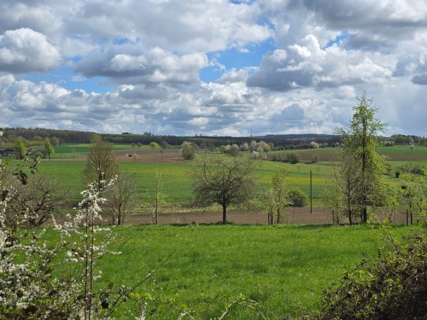 Blick vom Emderwald